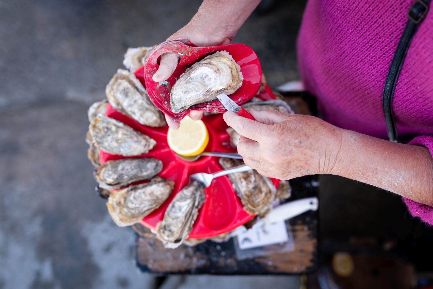 oysters-brittany-france