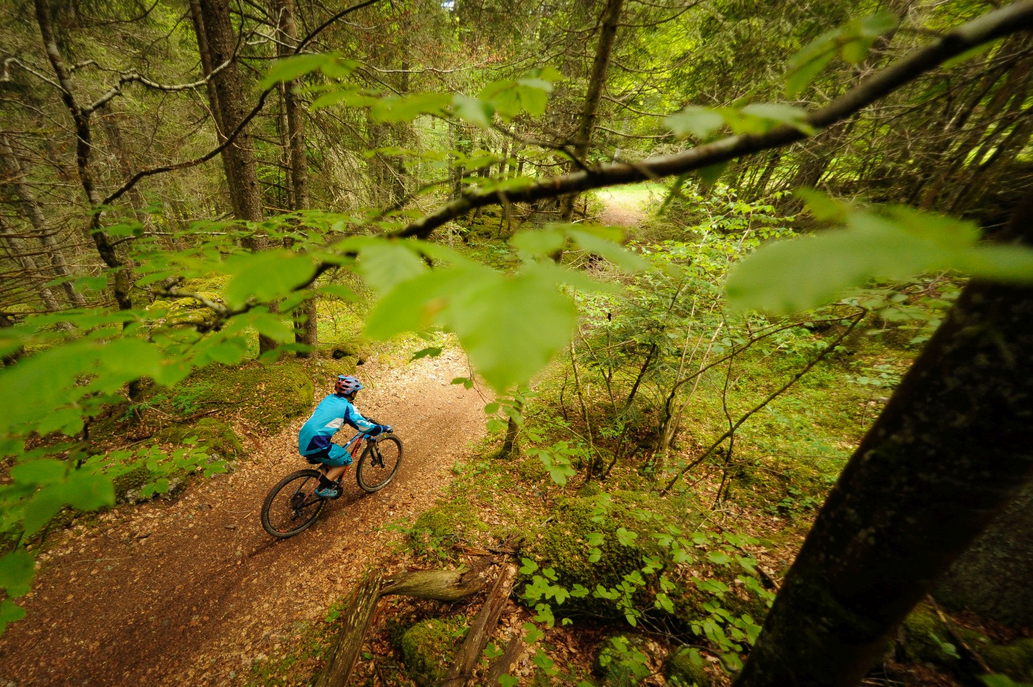 forest-mountain-bike-trails-isere-france