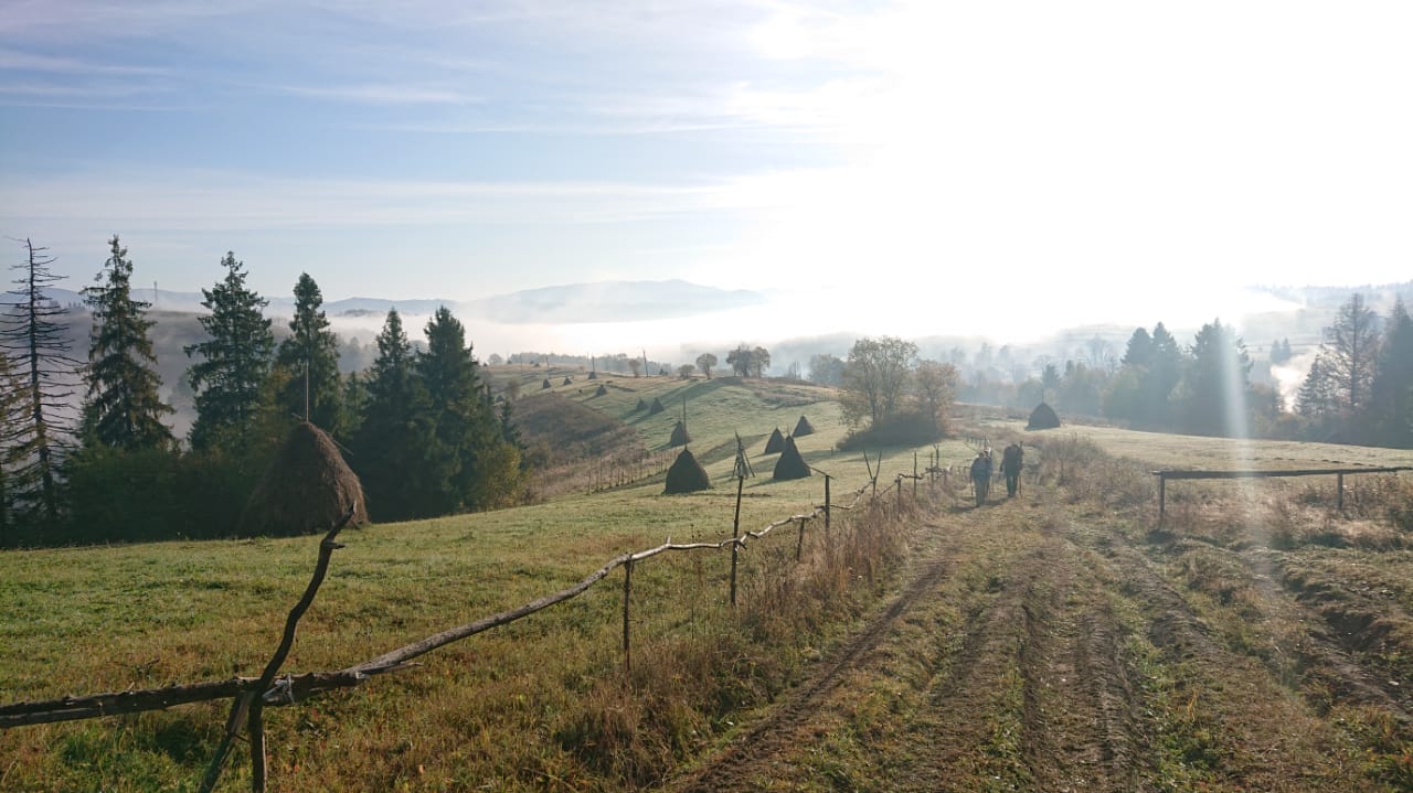 Hiking in the Carpathian mountains