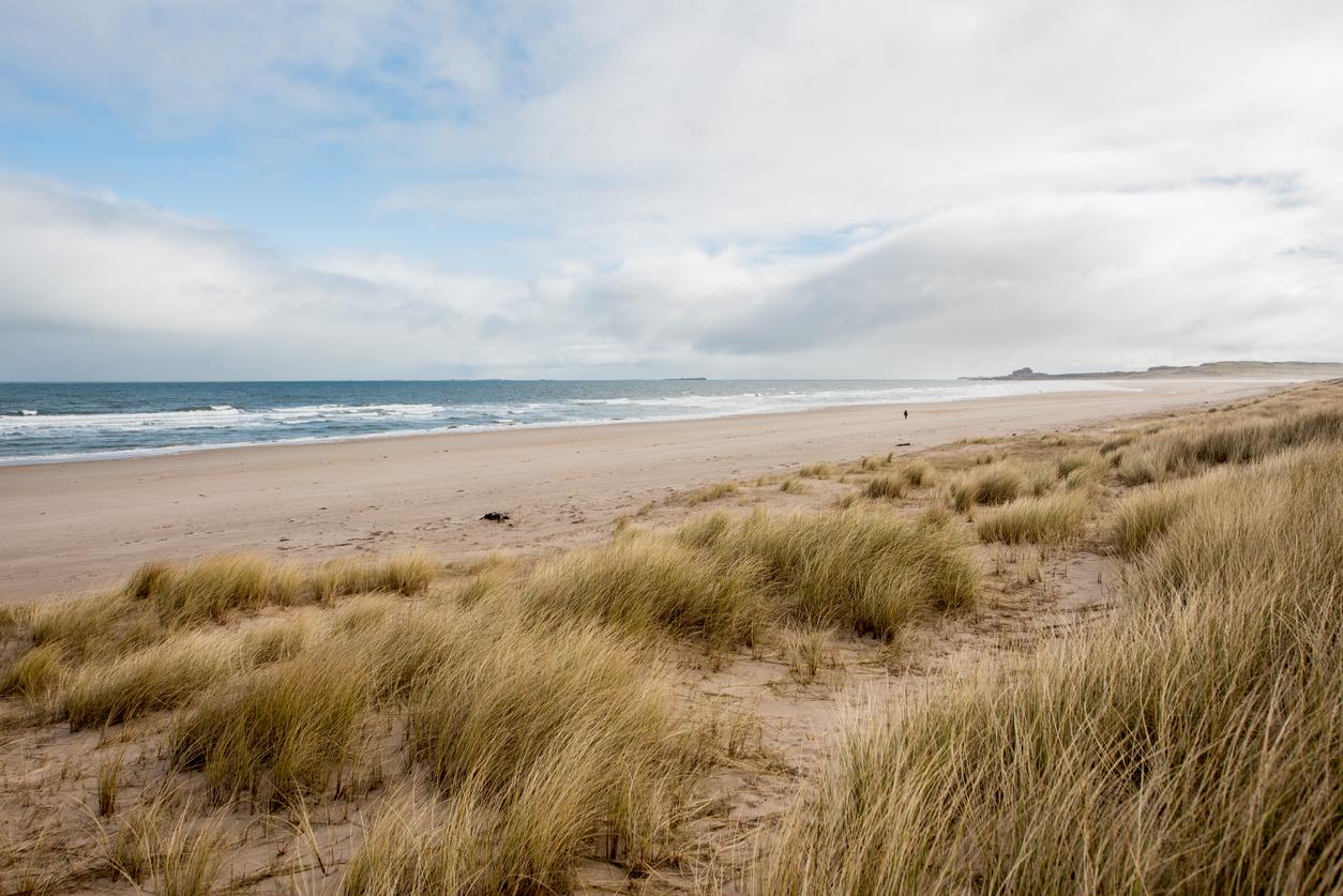 Ross Ross-Bank-Sands-Northumberland