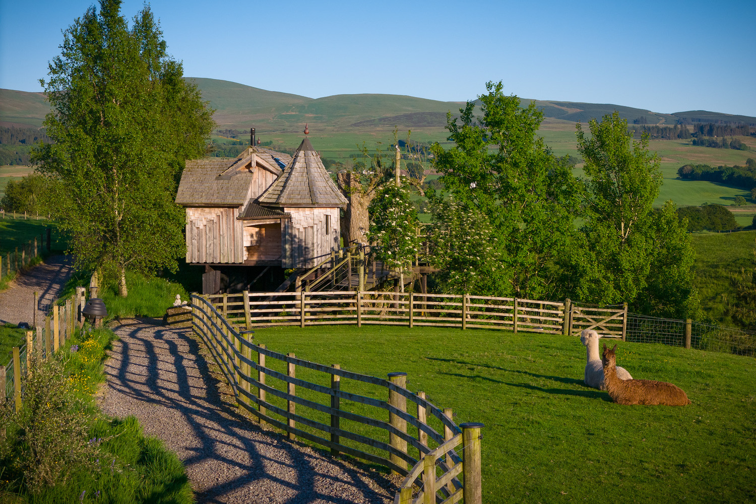 ash-tree-howf-treehouse-exterior