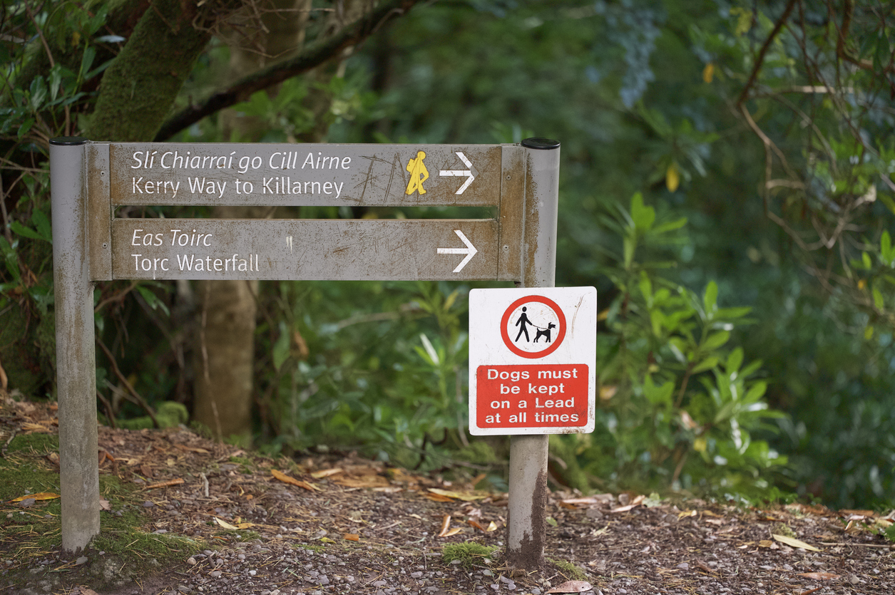 trail-sign-kerry-way-ireland