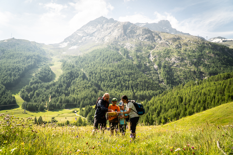 switzerland- walking -holiday-valais