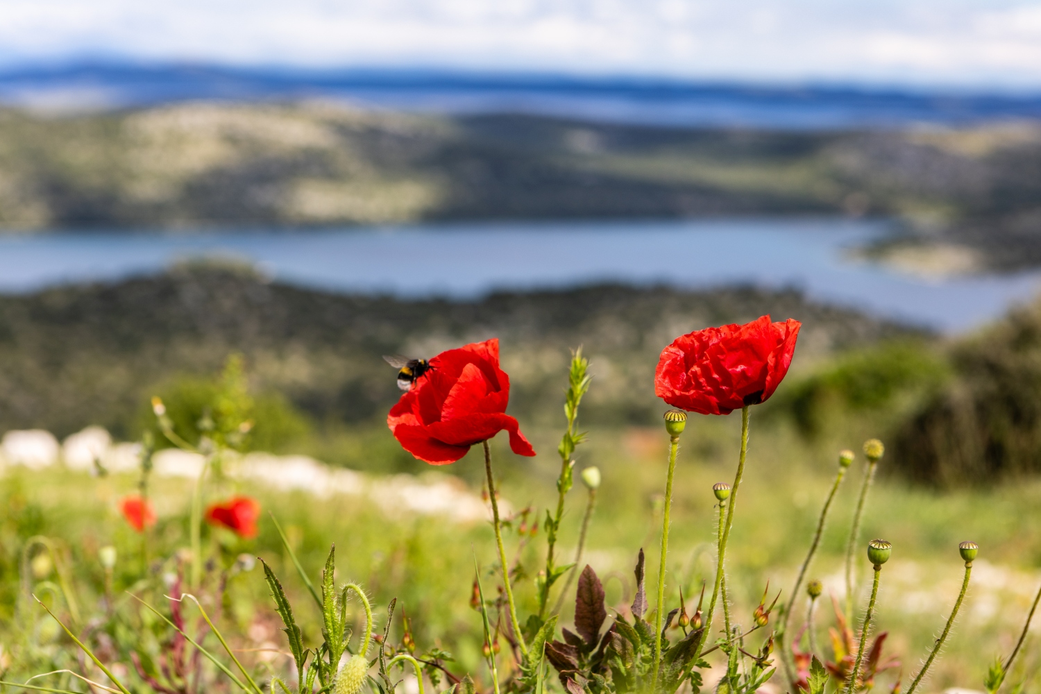 telascica-nature-park-zadar