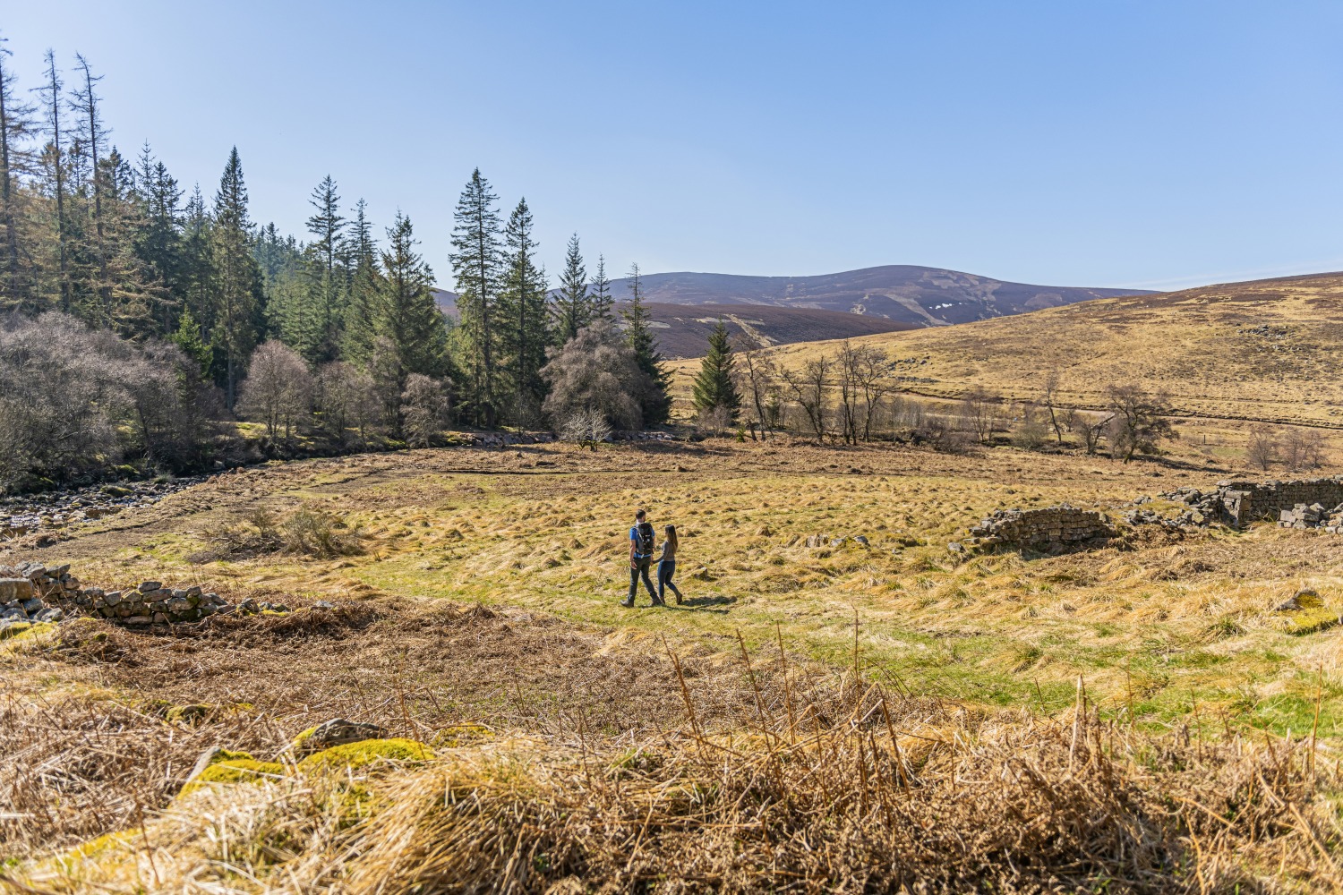 cairn-o-mount-aberdeenshire-scotland