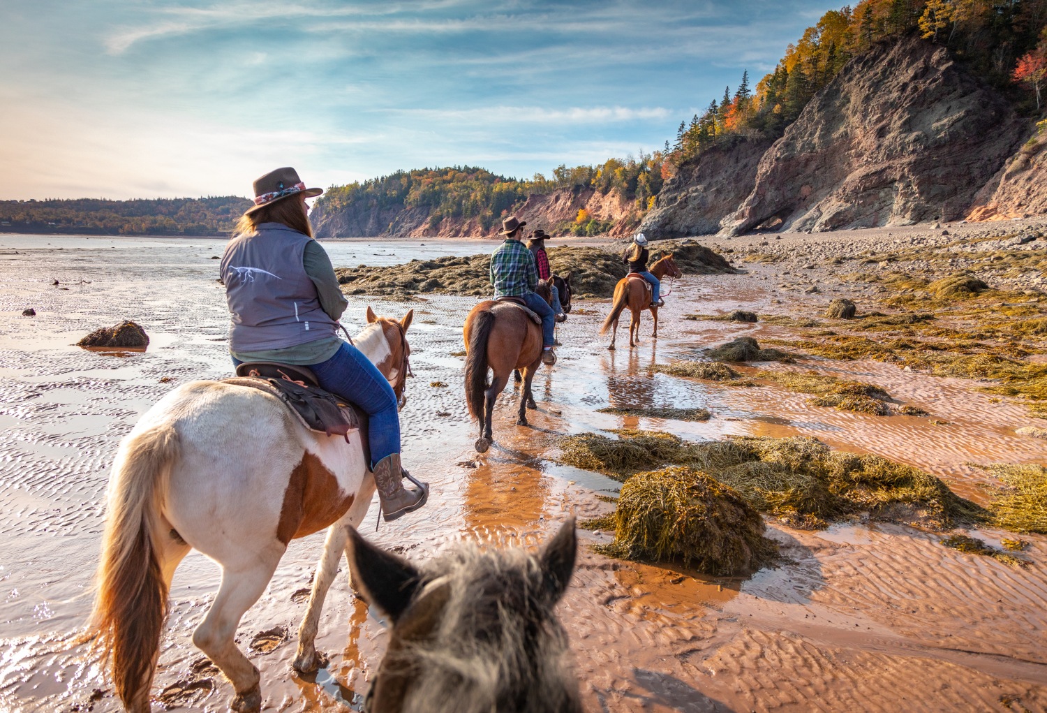 horse-riding-fundy-nova-scotia-canada