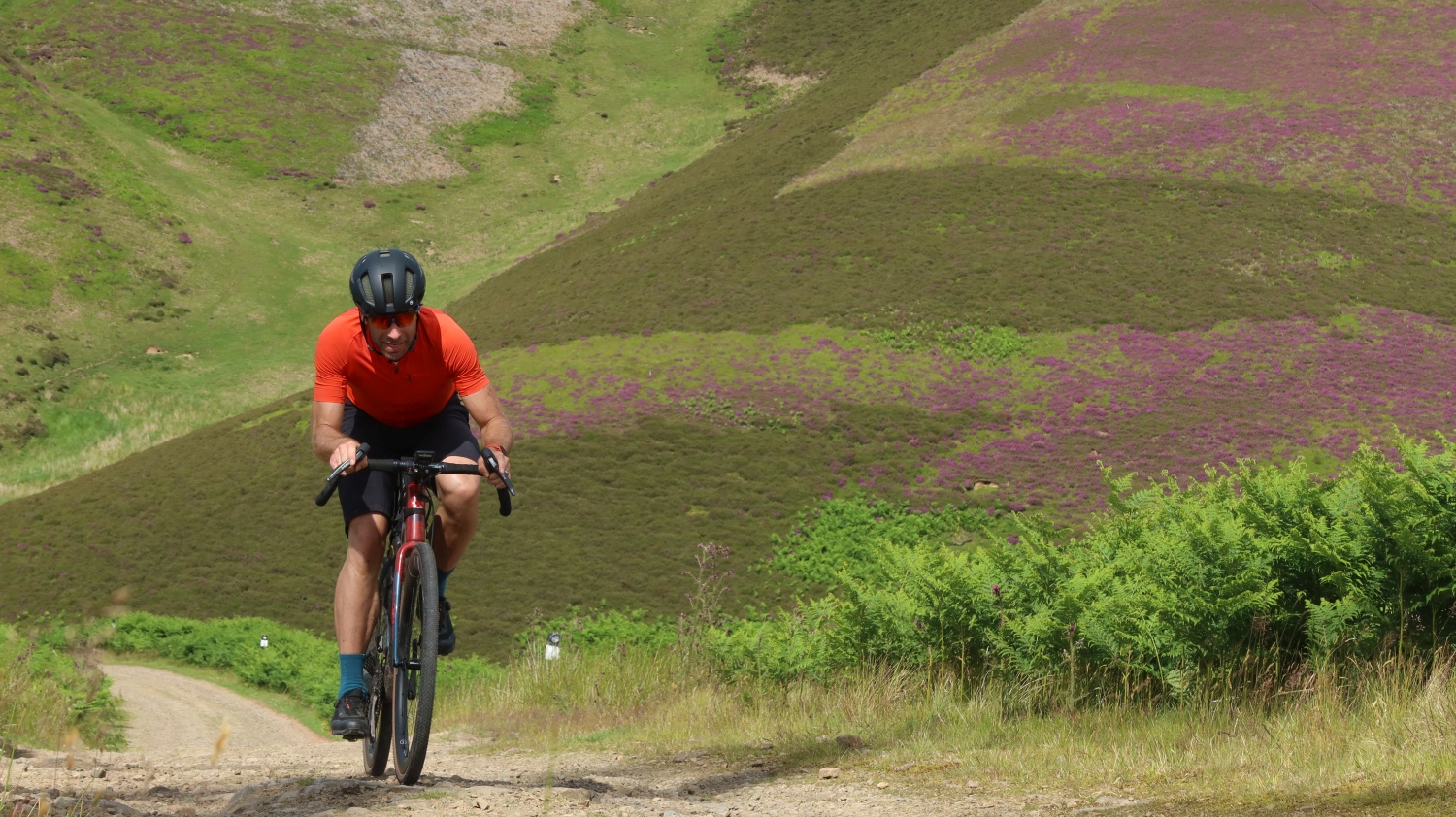 Lammermuirs-gravel-trail-east-lothian-scotland