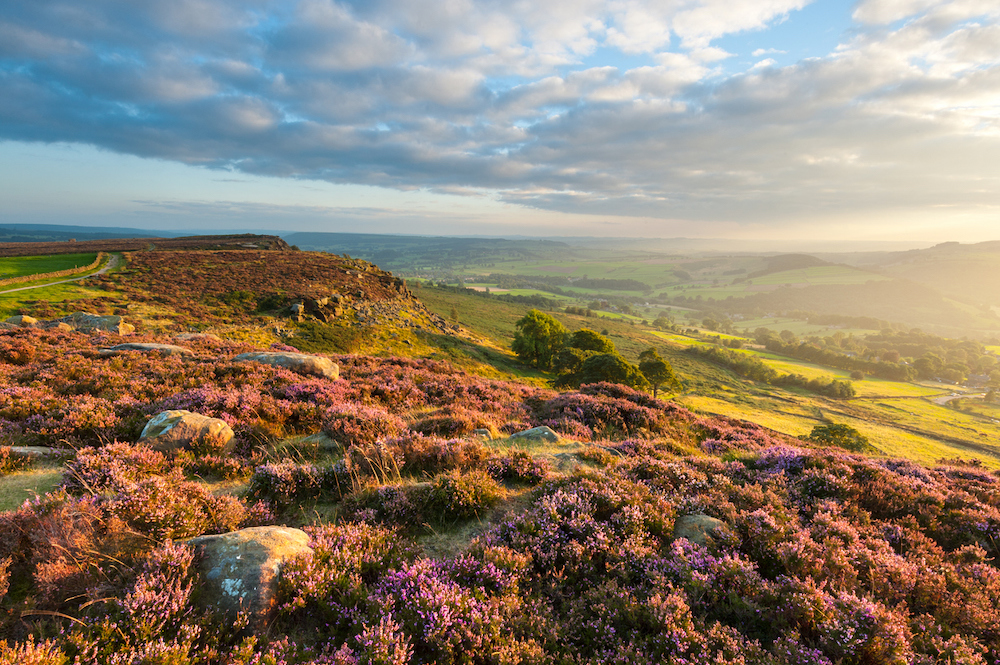 heathery-hill-peak-district