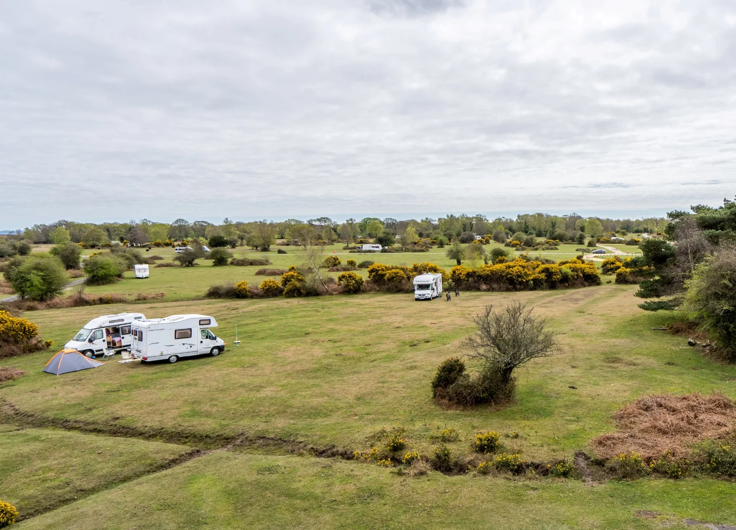 roundhill-campsite-new-forrest-uk