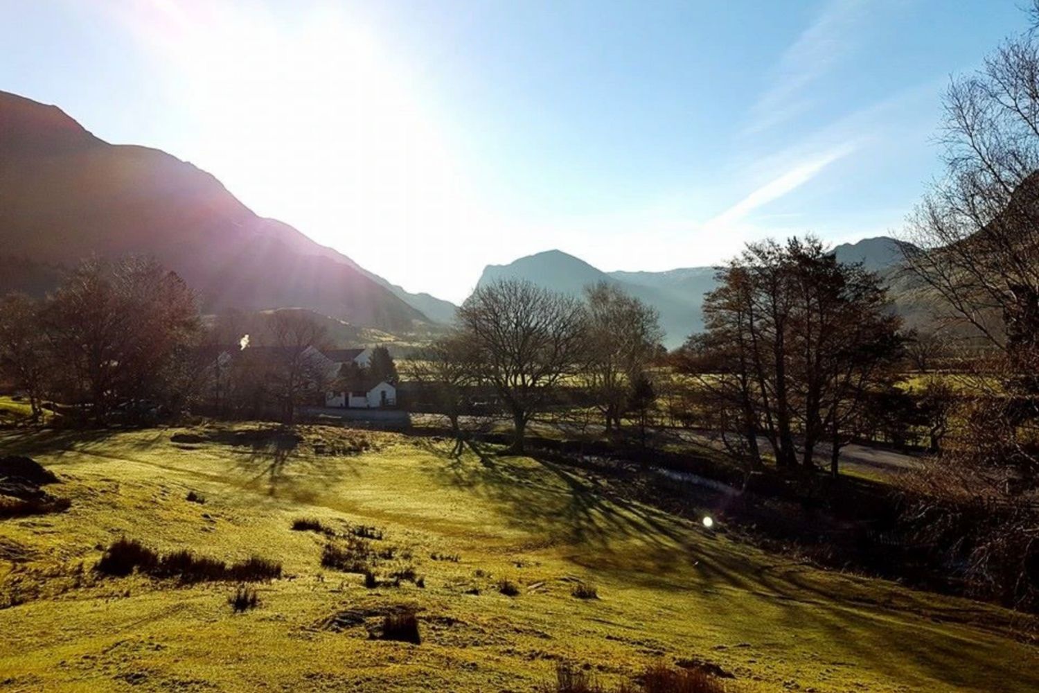 View from campsite over green pastures with blue sky and trees in background - Syke Farm Campsite, Lake District