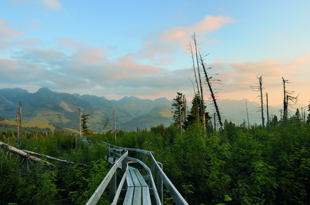 The panoramic Gantrisch trail.jpg